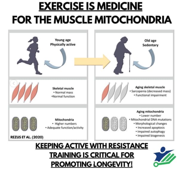Figure from 'Exercise Is Medicine'